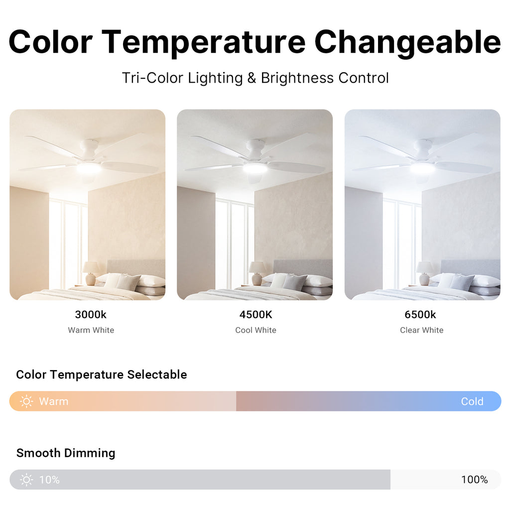 Ceiling Fan with Light 52