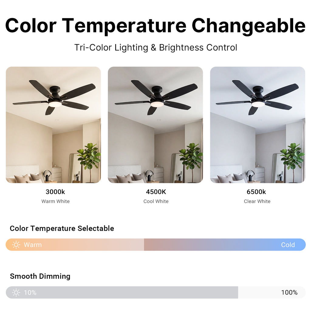 Ceiling Fan with Light 52