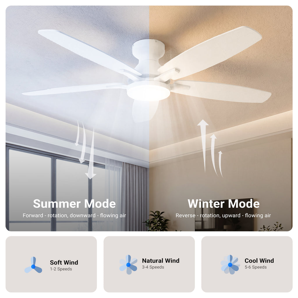 Ceiling Fan with Light 52