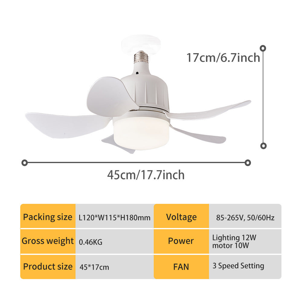 17"Socket Fan with Light by USOR - Australian Ceiling Fan Store